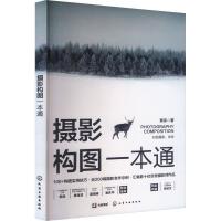 摄影构图一本通